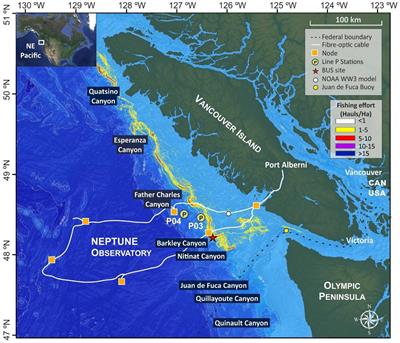 Influence of Natural Processes and Bottom Trawling in the Nepheloid Layer Structure Off Vancouver Island (British Columbia, Canada, NE Pacific)